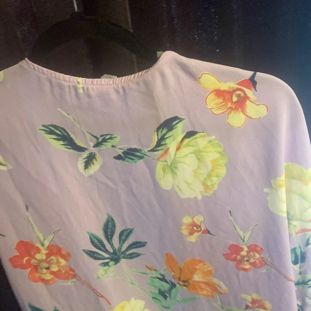 Sheer Pull Over - Picture 5 of 5